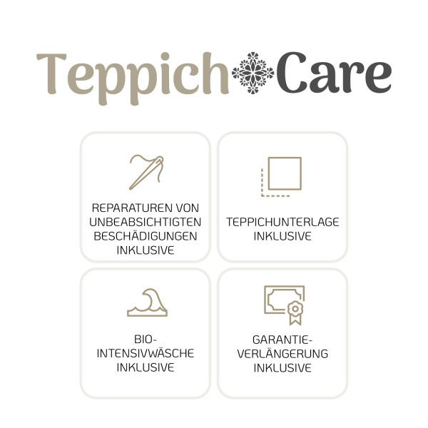 TC3500 TeppichCare