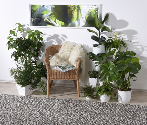Felty Vilt tapijt UNI 115 natural multi