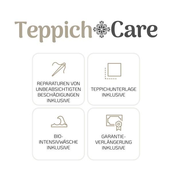 TC1000 TeppichCare
