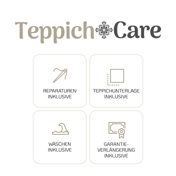 TC2000 TeppichCare