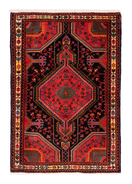 70530 Tüserghan Design Orientteppich