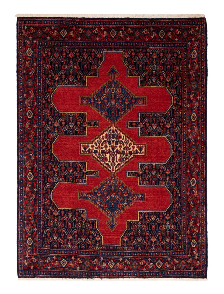 70970 Hamadan Design Orientteppich