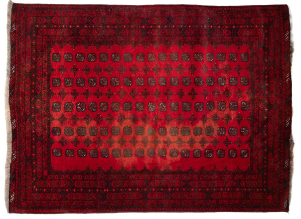71902 Afghan
